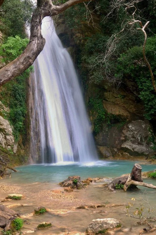 Φυσικό σκηνικό με σκιά και πλατάνια – Απεικονίζει την ευρύτερη, καταπράσινη κοιλάδα γύρω από τον ποταμό.